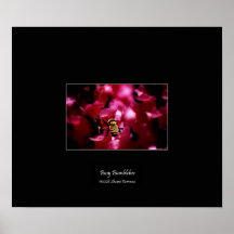 Poster, Busy Bumblebee, Pink Snapdragon Flowers