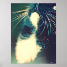 poster chat