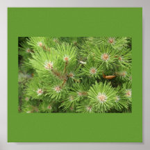 Poster-Colour Therapy-Green 5
