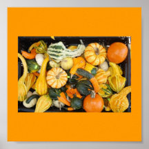 Poster-Colour Therapy-Orange 13