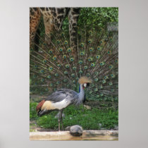 POSTER CRITTER LINE UP - PERFECT TIMING - CRANE