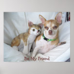Poster - Cute Dog