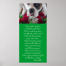 Poster Daisy Belle & Roses Promote Pet Adoption!