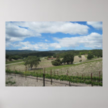 Poster: End of May in Templeton, CA Vineyard