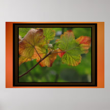 Poster - Fall Leaves