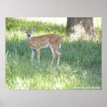 Poster /  Granbury, Texas