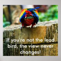 Poster: If you're not the lead bird, the view n...