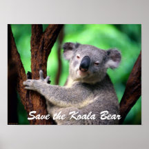 Poster-Koala Bear-Save