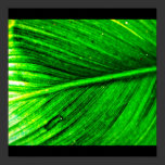 Poster-Leaves Gallery-10 posters