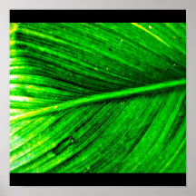 Poster-Leaves Gallery-10