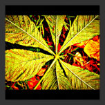 Poster-Leaves Gallery-11 posters