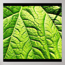 Poster-Leaves Gallery-12