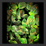 Poster-Leaves Gallery-14 posters