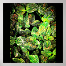 Poster-Leaves Gallery-14