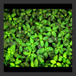 Poster-Leaves Gallery-16 posters