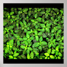 Poster-Leaves Gallery-16