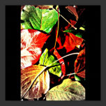 Poster-Leaves Gallery-2 posters