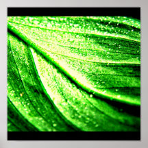 Poster-Leaves Gallery-21