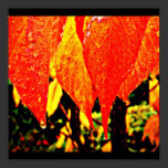 Poster-Leaves Gallery-22 posters
