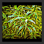 Poster-Leaves Gallery-23 posters