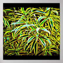 Poster-Leaves Gallery-23