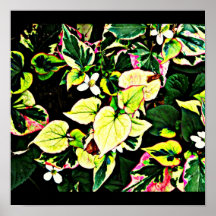 Poster-Leaves Gallery-24
