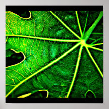 Poster-Leaves Gallery-25