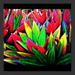 Poster-Leaves Gallery-26 posters