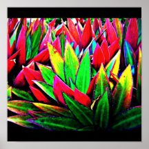 Poster-Leaves Gallery-26