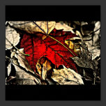 Poster-Leaves Gallery-3 posters