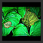 Poster-Leaves Gallery-5 posters