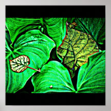 Poster-Leaves Gallery-5