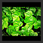 Poster-Leaves Gallery-6 posters