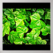 Poster-Leaves Gallery-6