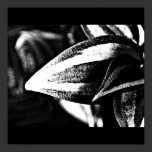 Poster-Leaves Gallery-7 posters