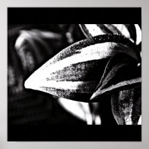 Poster-Leaves Gallery-7