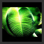 Poster-Leaves Gallery-8 posters