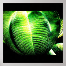 Poster-Leaves Gallery-8