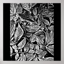 Poster-Leaves Gallery-9