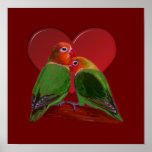 Poster - Lovebirds