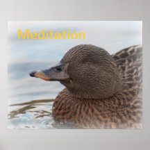 Poster: Meditation