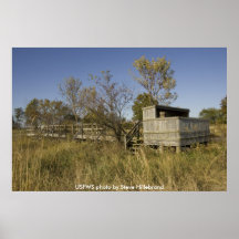 Poster / Missouri Wooden Wildlife Observation