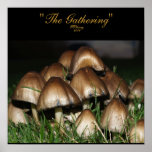 Poster of Mushrooms "The Gathering"