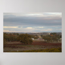 Poster: Paso Robles Wine Country in November