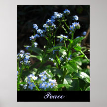Poster - Peace