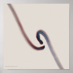 Poster/Print: "Indigo/Red 5"