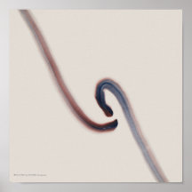 Poster/Print: "Indigo/Red 5"