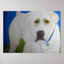 Poster Print, Yellow Labrador Retriever Art
