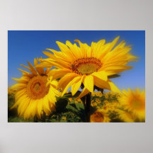 Poster " Soleil "