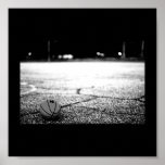 Poster-Sports/Games-33